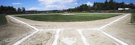 GanderMinorBaseball banner