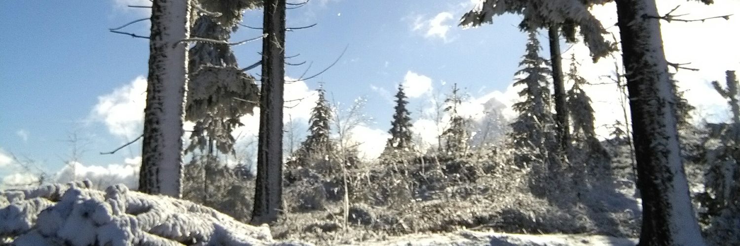 Andy981117's profile banner image