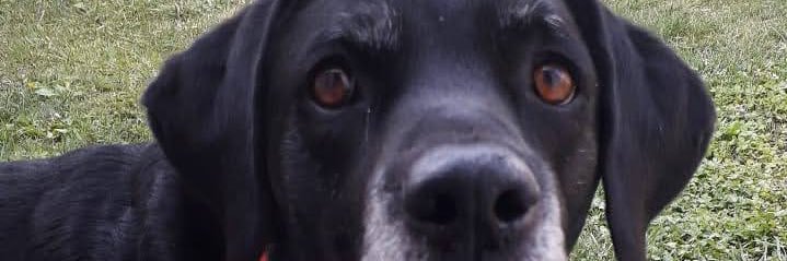 Azuul1232's profile banner image