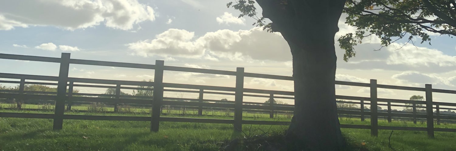 onemchapter's profile banner image