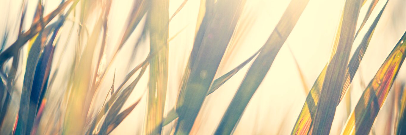 jessegollmedia's profile banner image