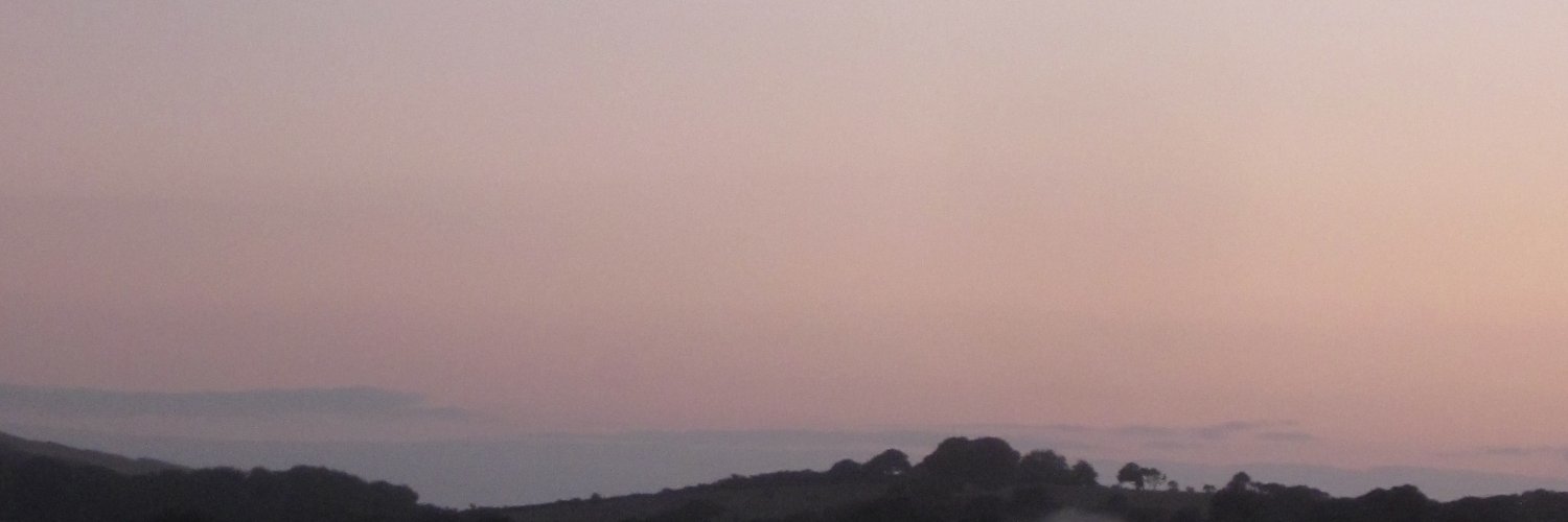 Rachel, a Thinker banner