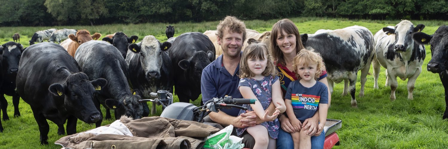 Meinir Howells banner