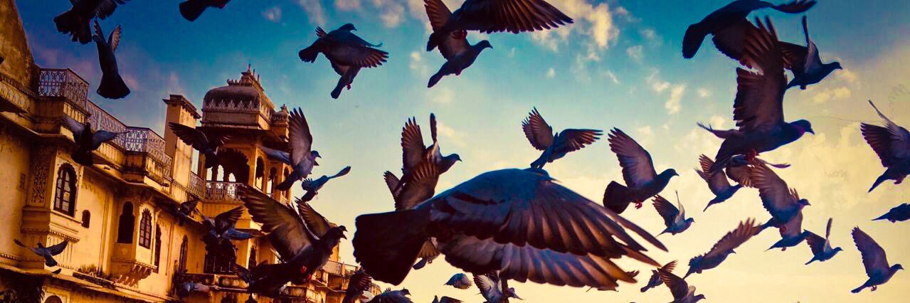 nazish33's profile banner image