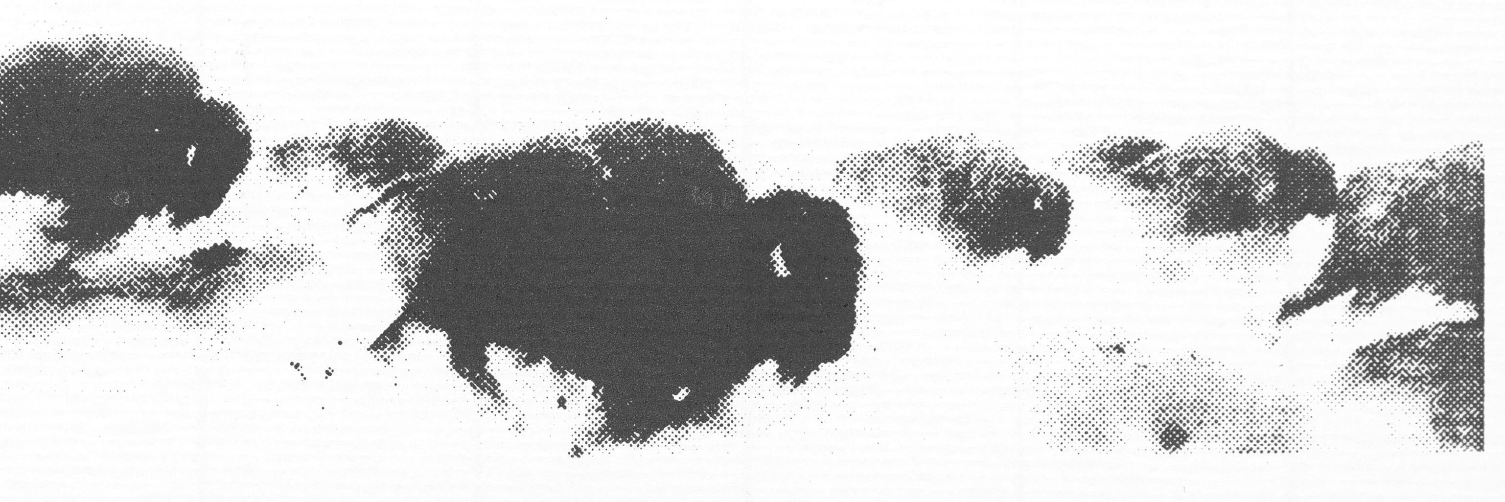 Wounded_Buffalo's profile banner image