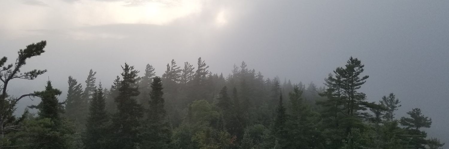 Sheal44's profile banner image