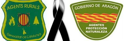 UGTforestalesAr's profile banner image