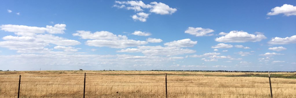 rachelleshell9's profile banner image