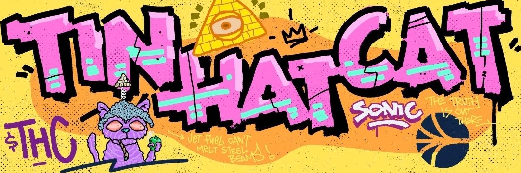 TooHigh2Fly.Sonic banner