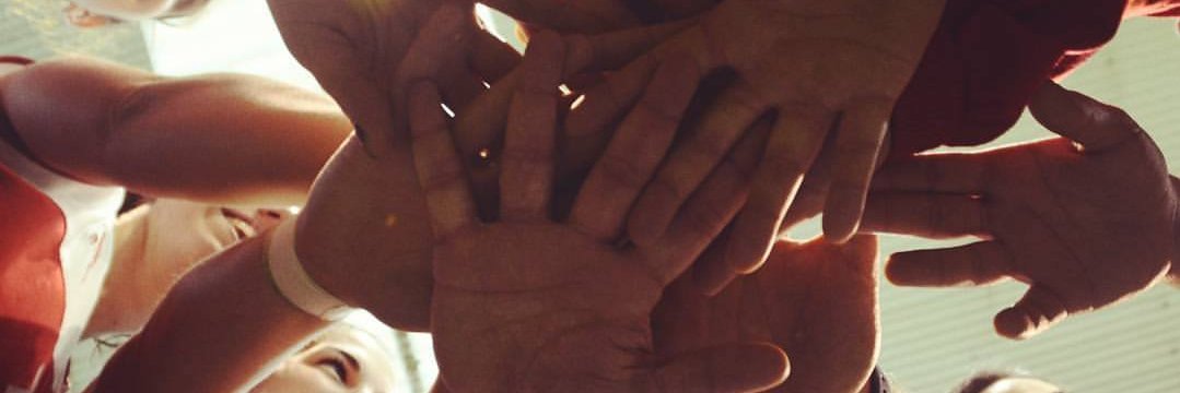 CV SPiSP OFICIAL banner