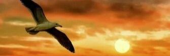 ngssouza's profile banner image