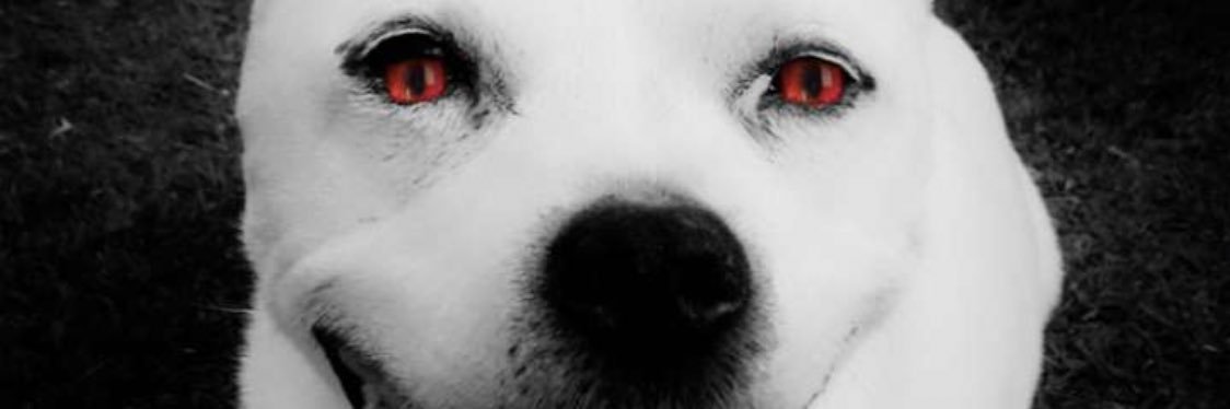 StuartEdwards4's profile banner image