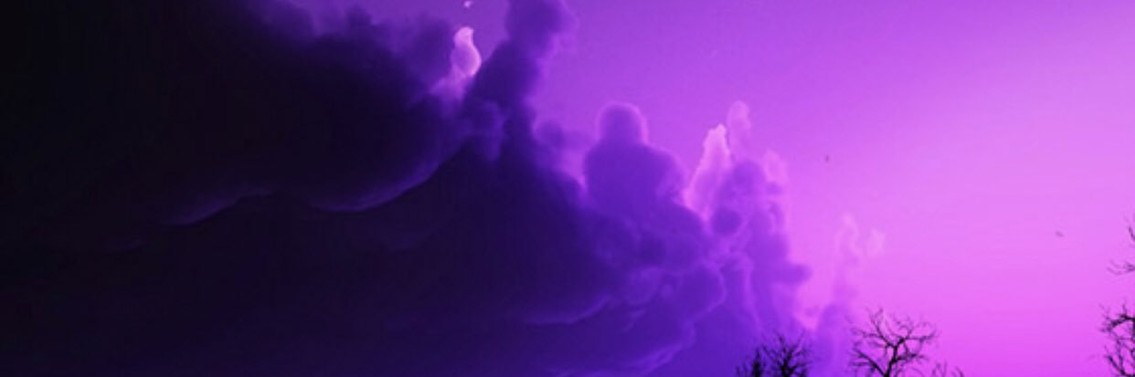 Stephanie Kelly banner