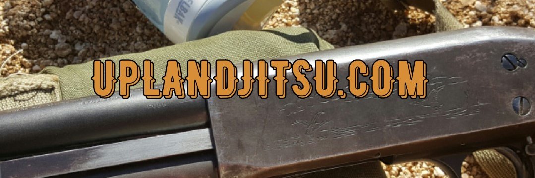 jorge_jitsu's profile banner image