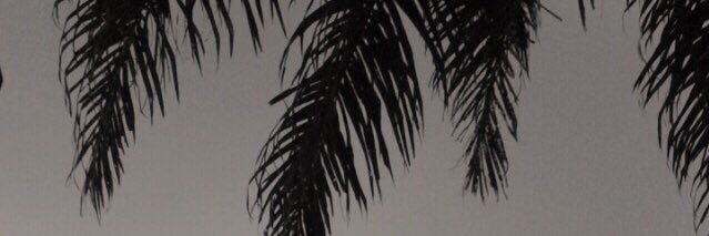 DestiZezar's profile banner image