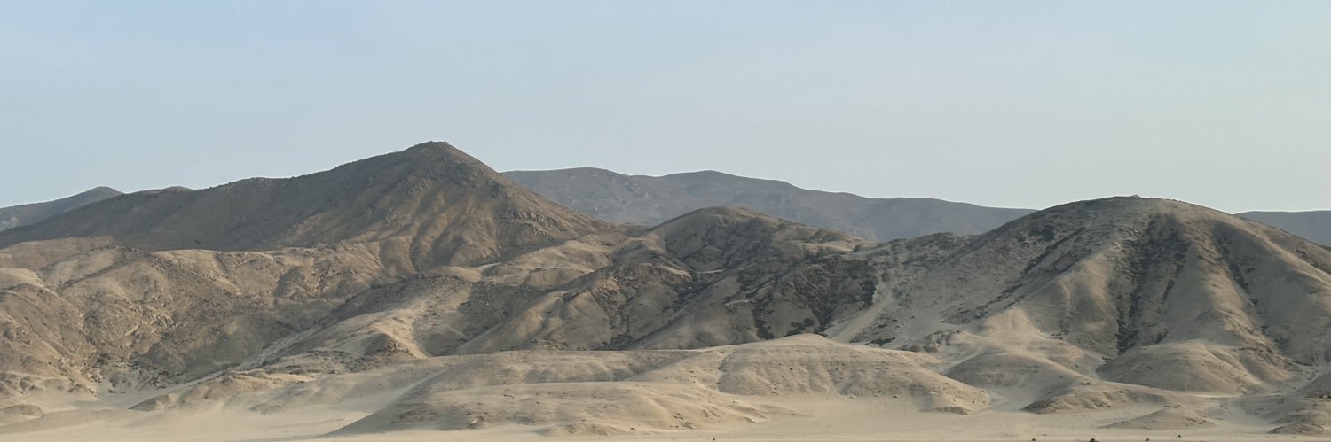 beehoyle's profile banner image