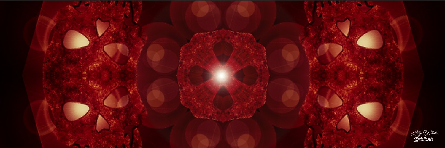 Lily White 🦋 banner