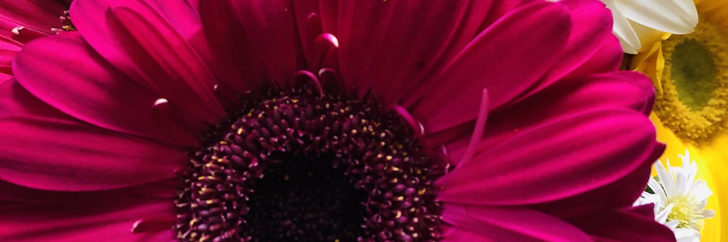 Tiitanick's profile banner image