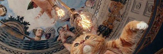 𝖇𝖊𝖆𝖓𝖘 banner