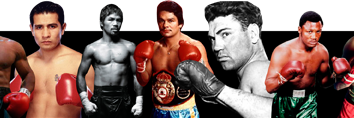 boxingroyalty's profile banner image