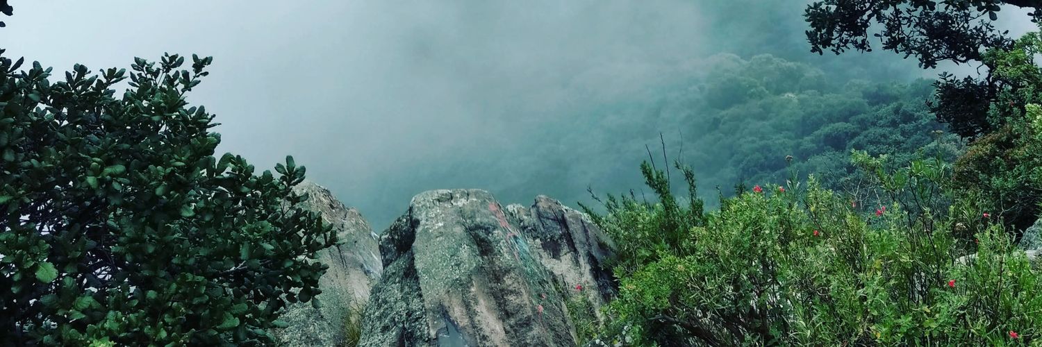 edrasn's profile banner image