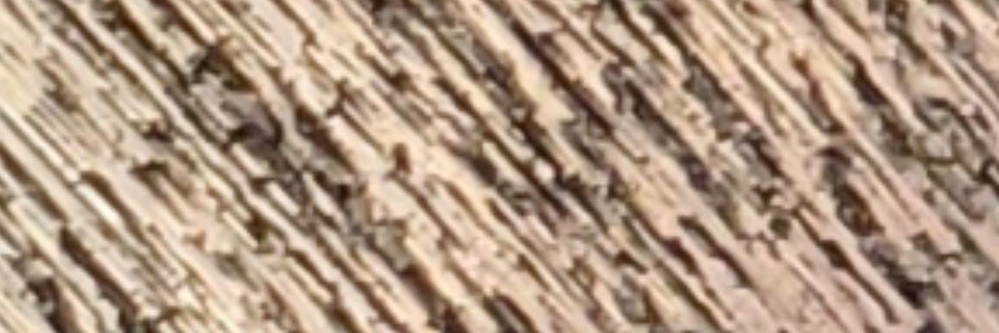 CessOmar22's profile banner image