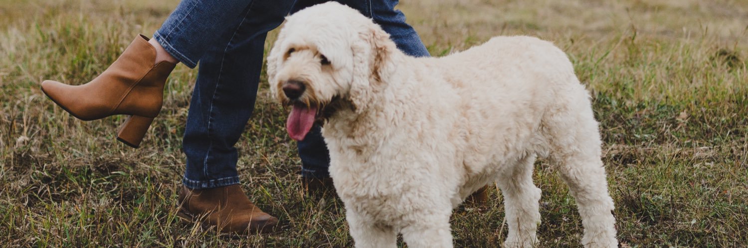 k_bert10's profile banner image