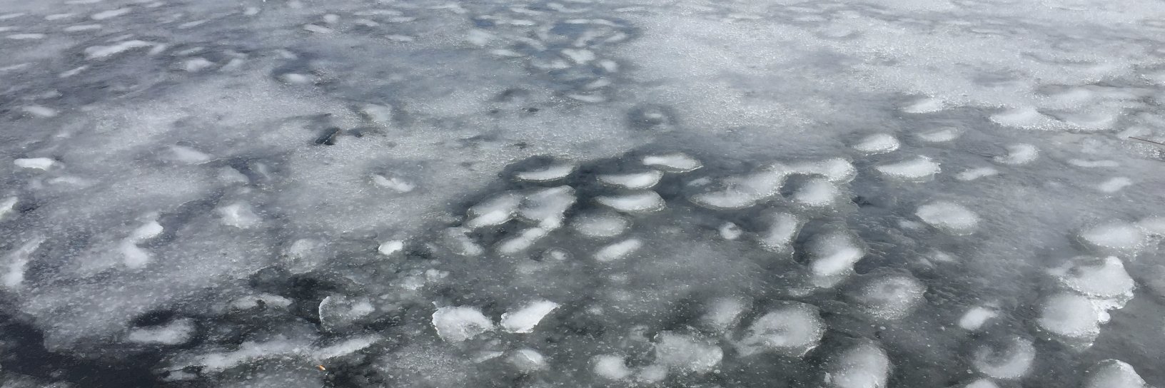 clota martín banner