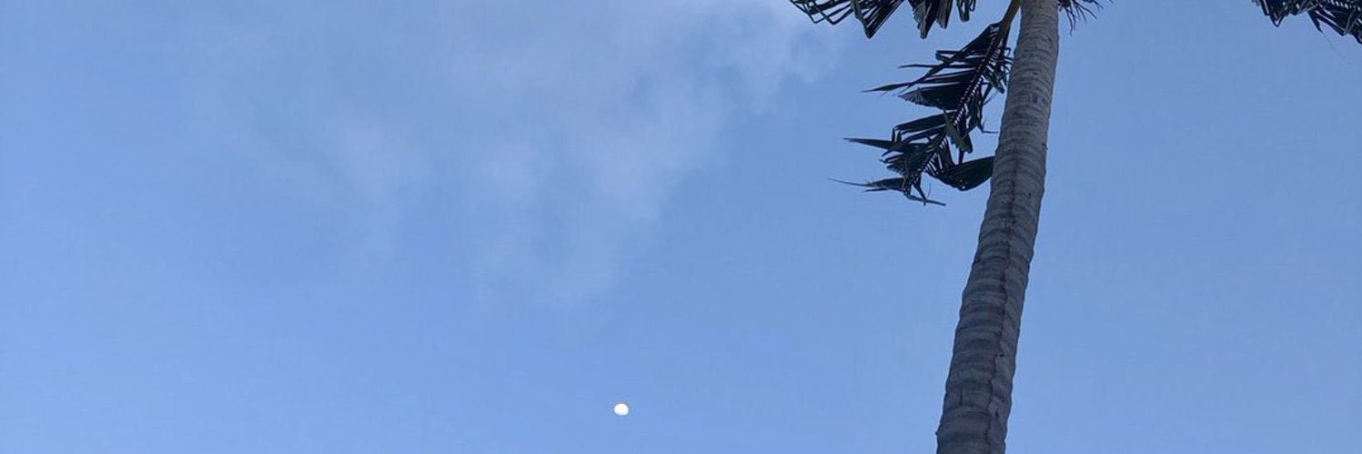 agus_campitelli's profile banner image