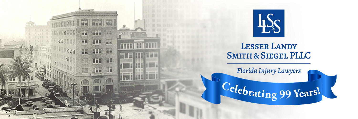 Lesser, Landy, Smith & Siegel, PLLC banner