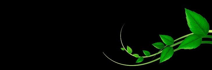 brene8012's profile banner image