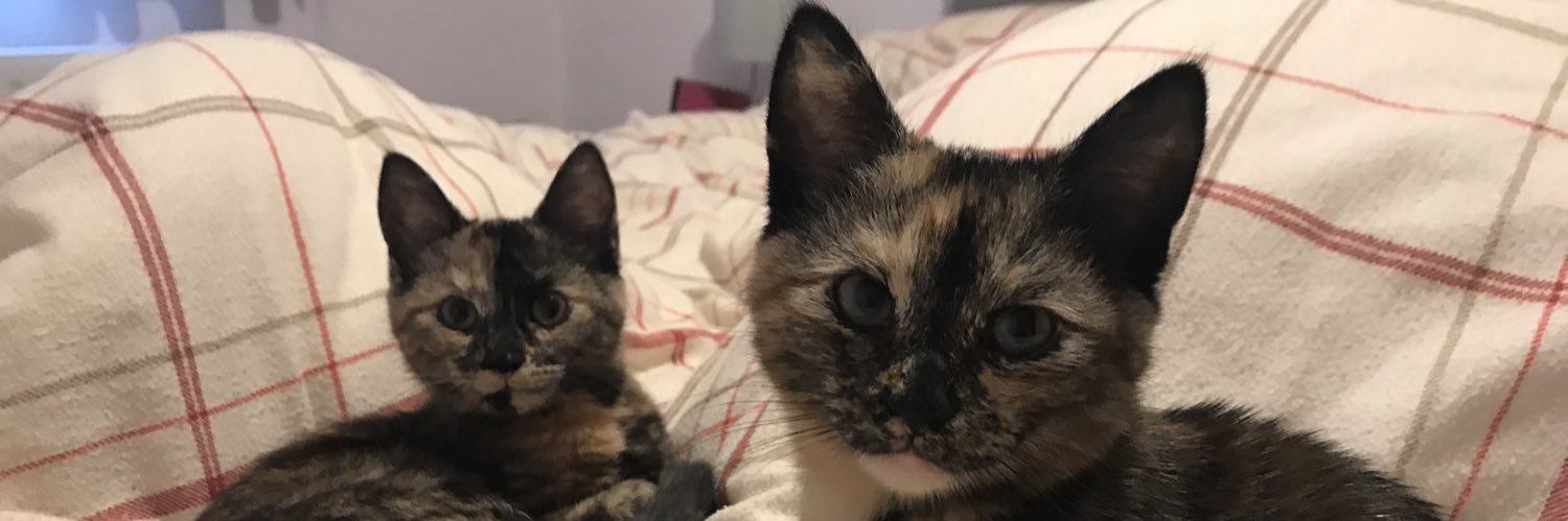 Alice Roberts banner