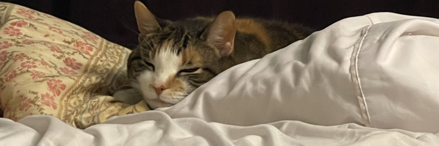MingVase_'s profile banner image