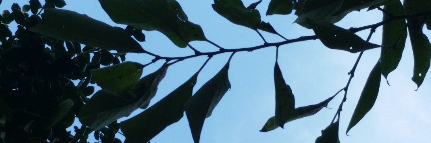 BiasAsWell's profile banner image