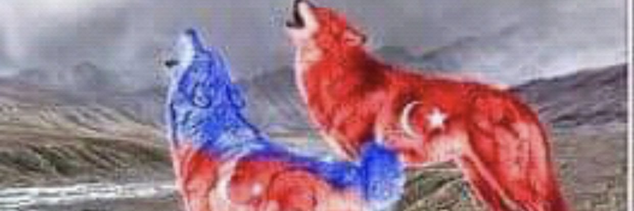 Peri_AGAT's profile banner image
