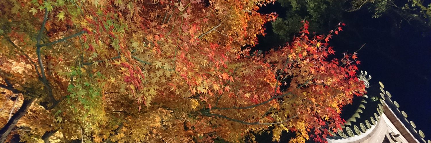 choco_sunsan's profile banner image