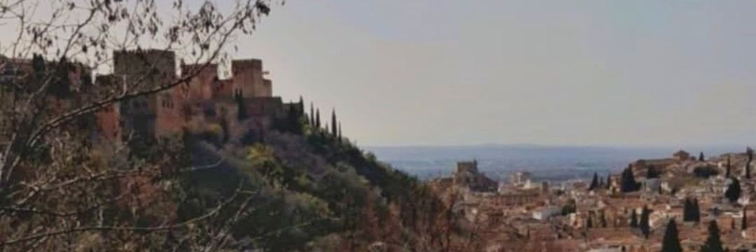 anana_av's profile banner image