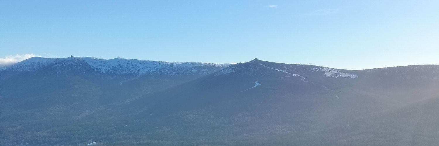 Wiktor Misztal banner