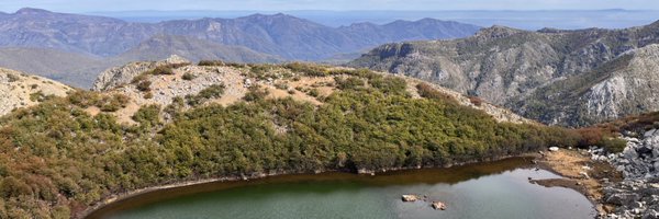 _MarioRivas Profile Banner