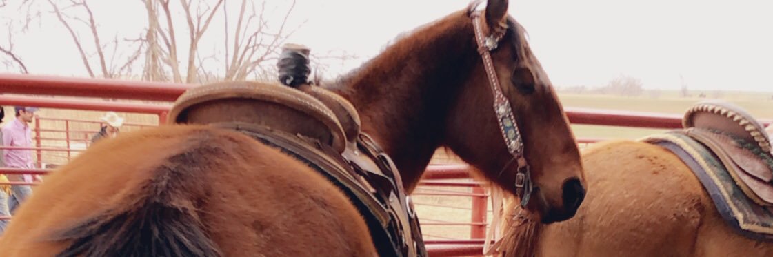 ShaeStout32's profile banner image