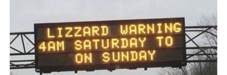Lizitude's profile banner image