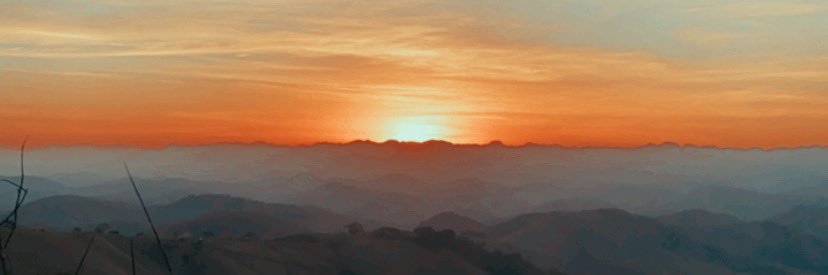 yaschavess's profile banner image