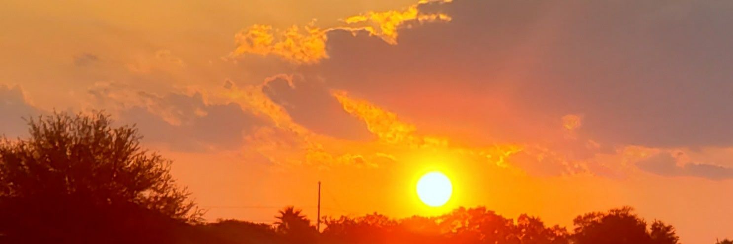 NaturalBrandi2's profile banner image