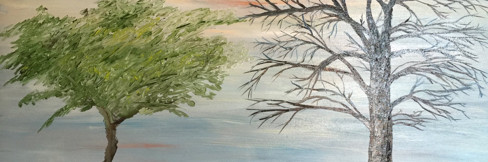 Cathy Macharis banner