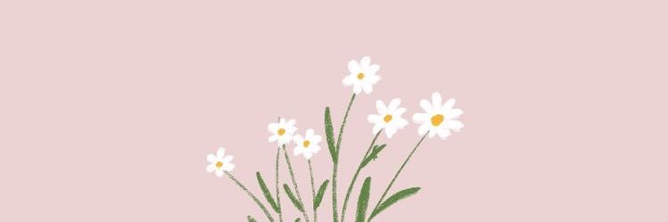 _fatimalozoya's profile banner image