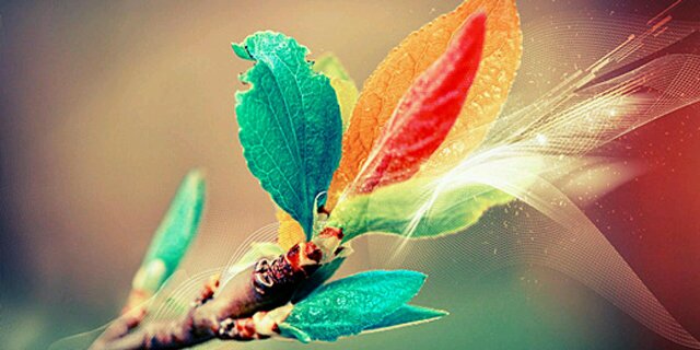 LauraCvico's profile banner image
