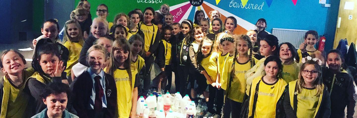 369th Lpool Brownies banner