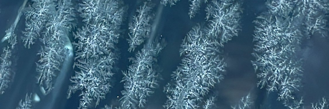 joangispertt banner