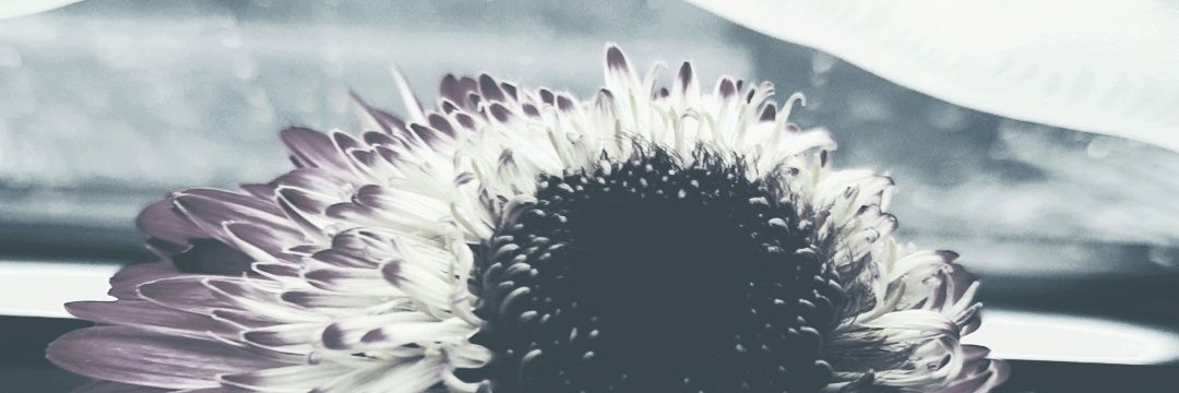mark_ross_Photo's profile banner image