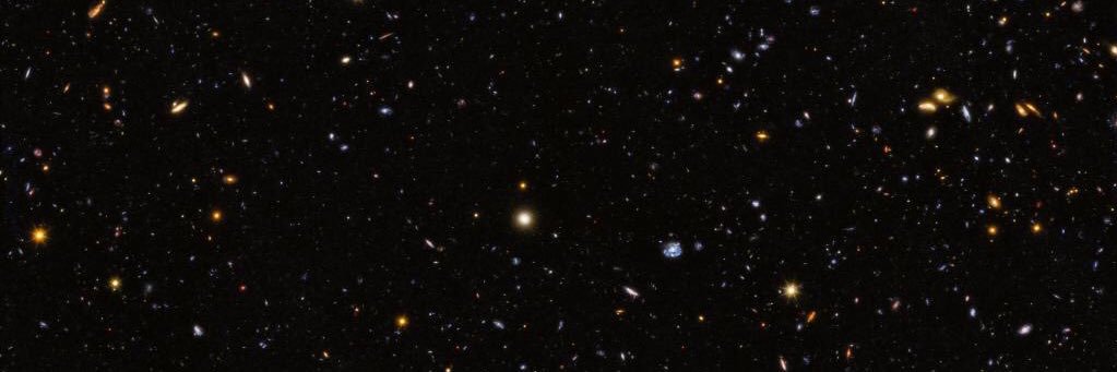 bellarkesgf's profile banner image